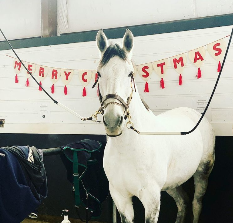 Twas the Night Before A Horse Guard Christmas