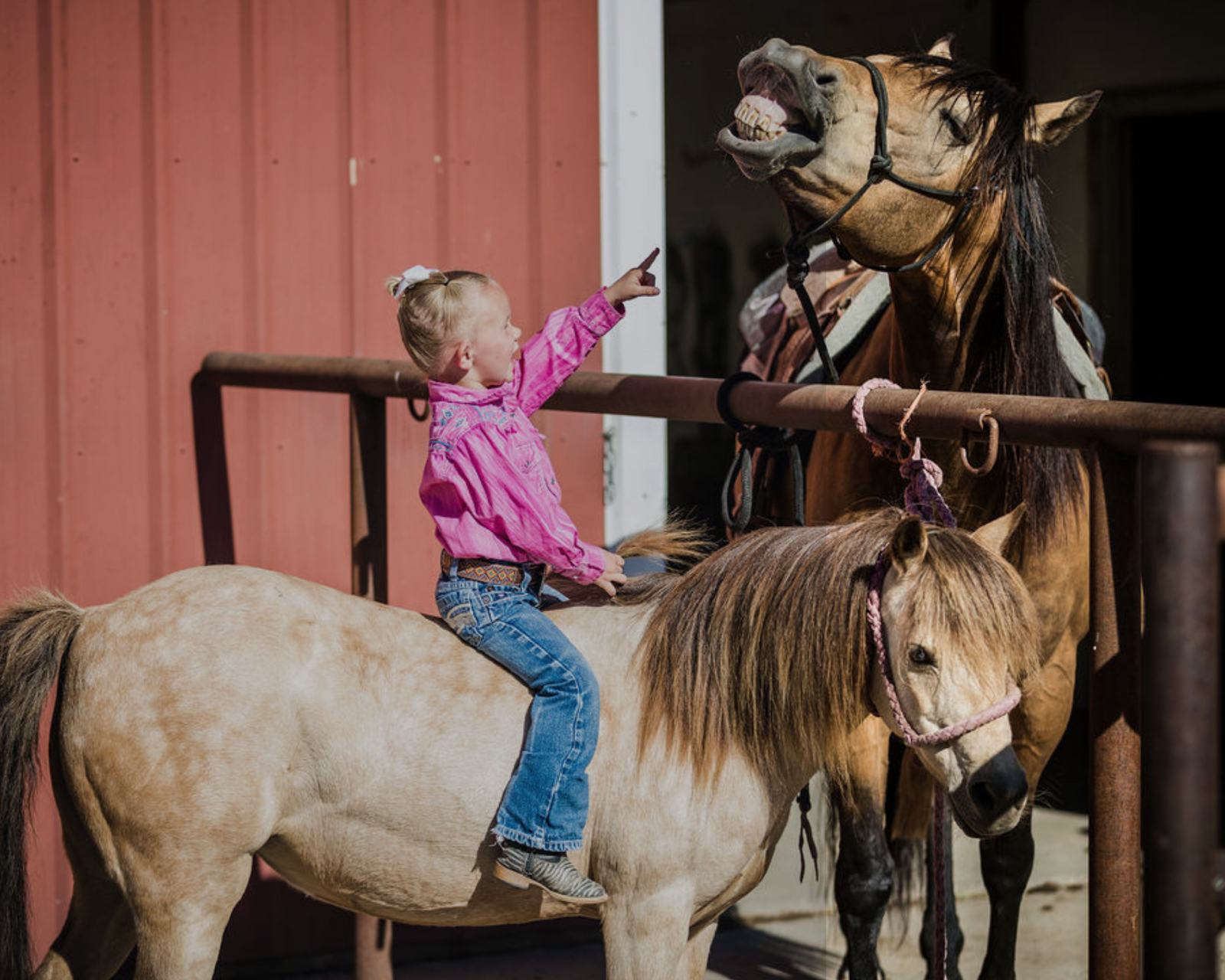 A girl and her Horse Guard Pony