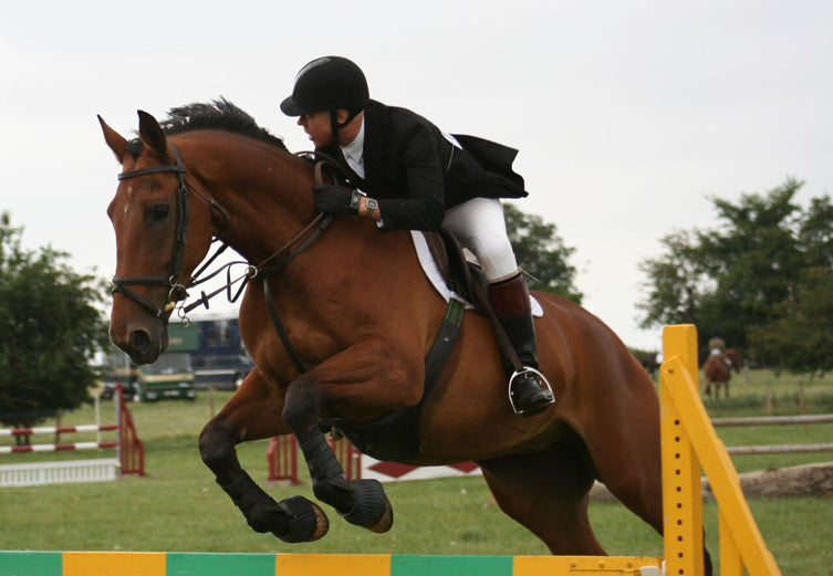 show-jumper-horse