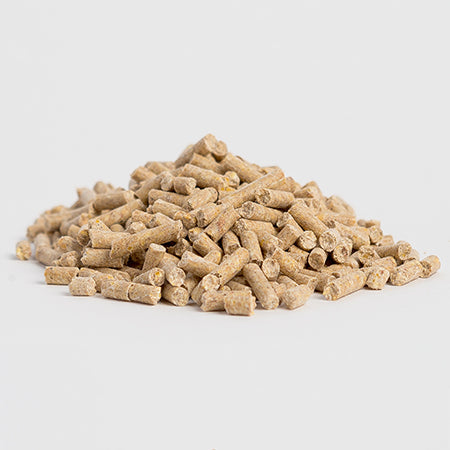 Mega Dose Actual Supplement by Horse Guard